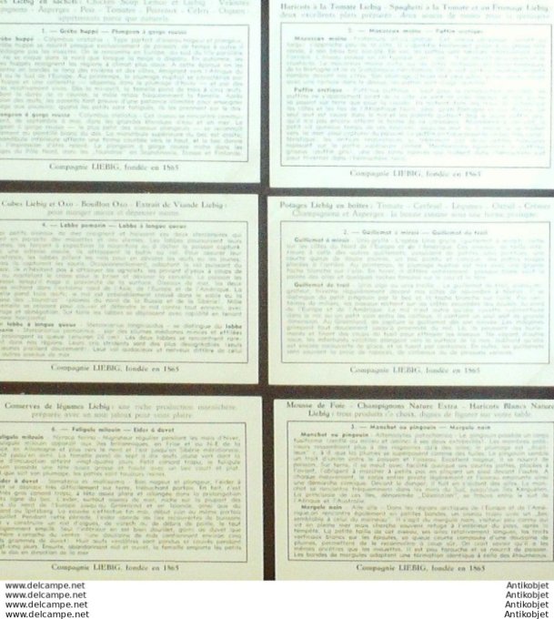 Chromo Liebig Sang 1634 Oiseaux plongeurs (1955)