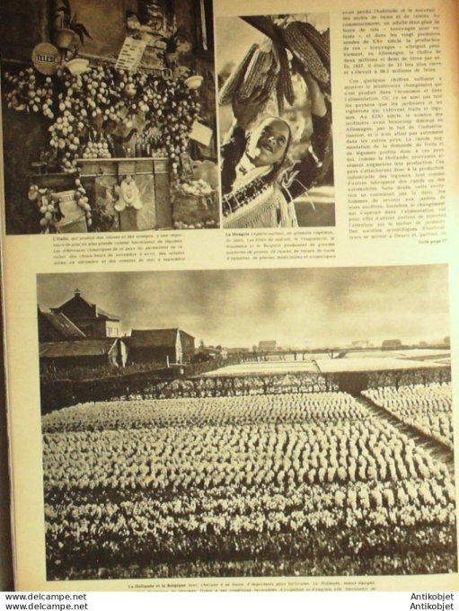 Revue Signal Ww2 1941 # 10
