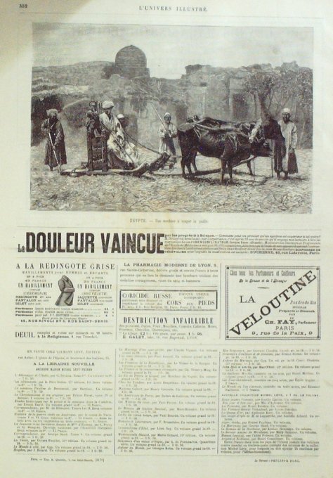 L'Univers illustré 1884 n°1523 Italie Pompéi gladiateurs SUEDE stockholm EGYPTE charrue de coupe