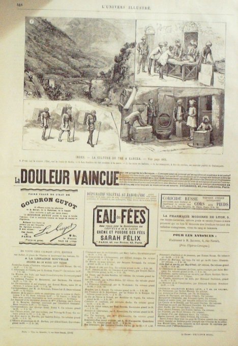 L'Univers illustré 1884 n°1529 NEUILLY CHOLERA TONKIN Thai Nguyen HONFLEUR INDE Kangra