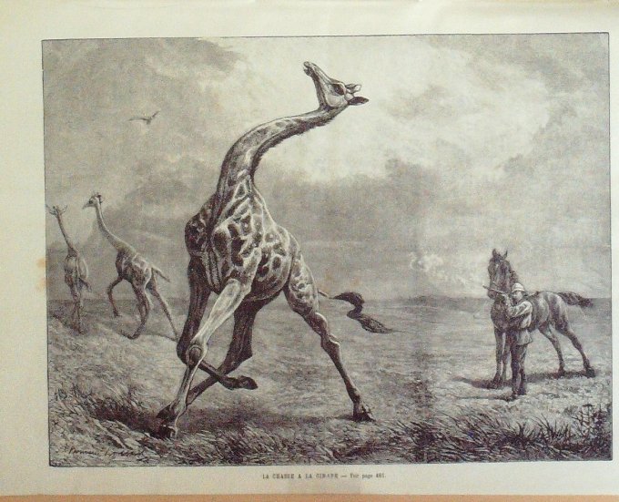 L'Univers illustré 1884 n°1530 MARSEILLE Choléra Fête 14 Juillet Chasse à la girafe