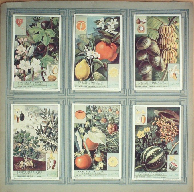 Fruits Exotiques 1943