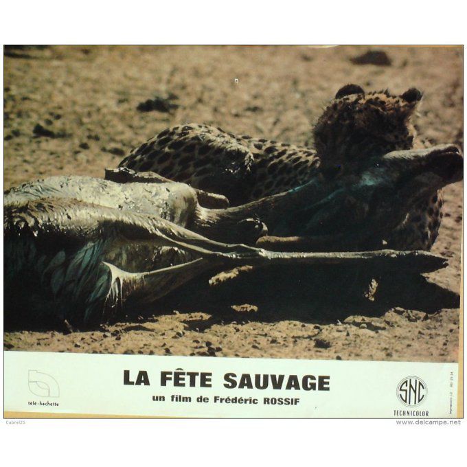 La Fete Sauvage Frederic Rossif 1976