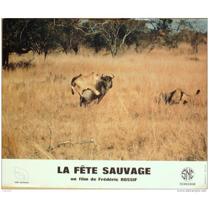 La Fete Sauvage Frederic Rossif 1976