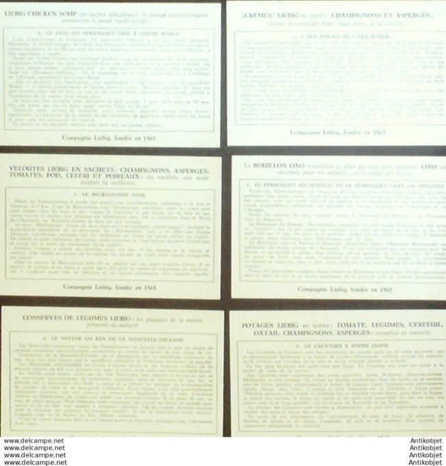 Chromo Liebig Sang 1621 Les perroquets (1955)