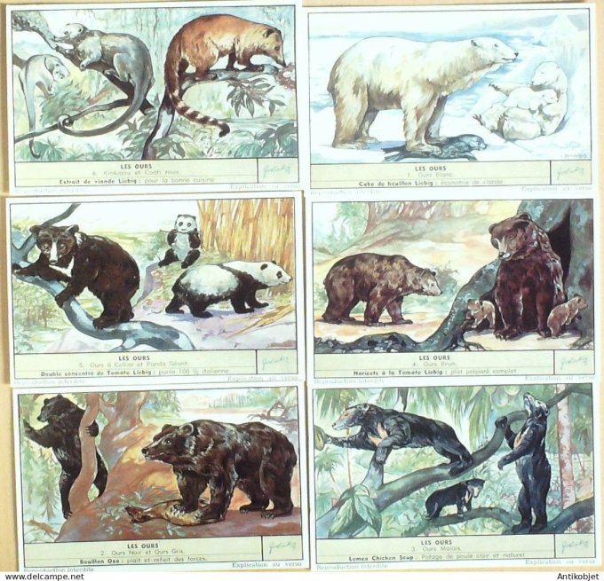 Chromo Liebig Sang 1620 Les ours (1955)