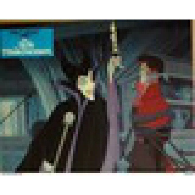 Walt Disney La Belle Au Bois Dormant