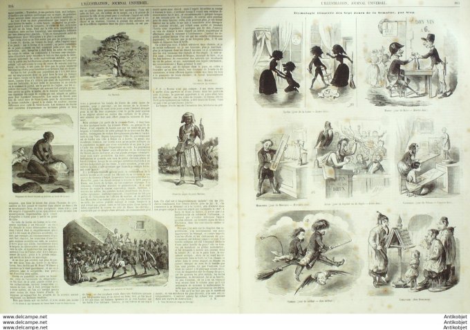 L'Illustration 1850 n°370 Afrique du Sud John CHERSCHELL Sénégal île de GOREE