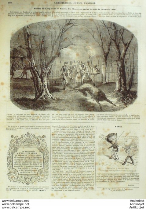 L'Illustration 1850 n°370 Afrique du Sud John CHERSCHELL Sénégal île de GOREE