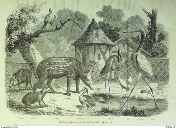 Le Monde illustré 1858 n° 75 Madagascar Reine Ranavalo Manjaka Culoz (01) Blois (41)