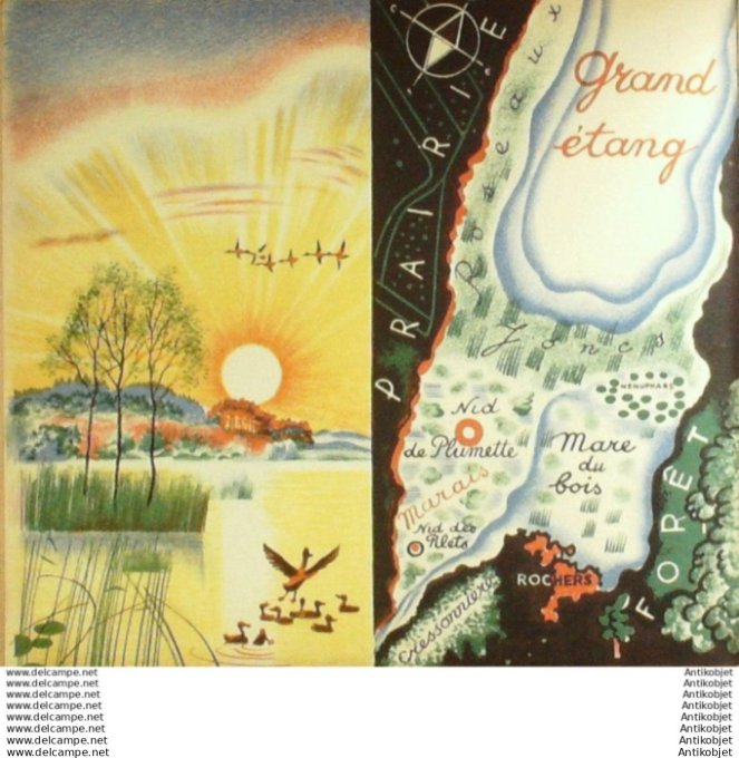 Pere Castor Plouf canard sauvage (Rojan texte Lida) Eo 1935