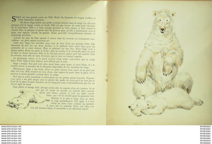 Pere Castor  les eptites et les grands (Rojan Texte Celli)  Eo1933