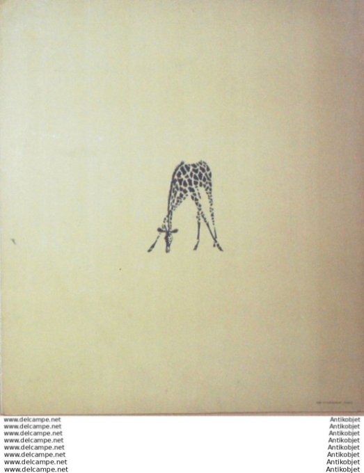 Pere Castor  les eptites et les grands (Rojan Texte Celli)  Eo1933