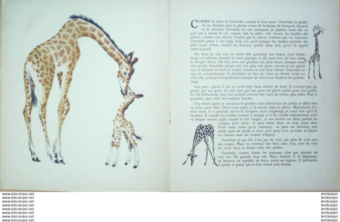 Pere Castor  les eptites et les grands (Rojan Texte Celli)  Eo1933