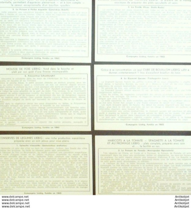 Chromo Liebig Sang 1597 Poissons qui construisent un nid (1954)