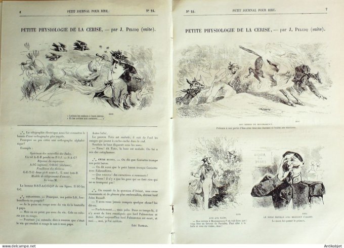 Petit journal pour Rire 1868 #   24 Physiologie de la cerise Pelcoq