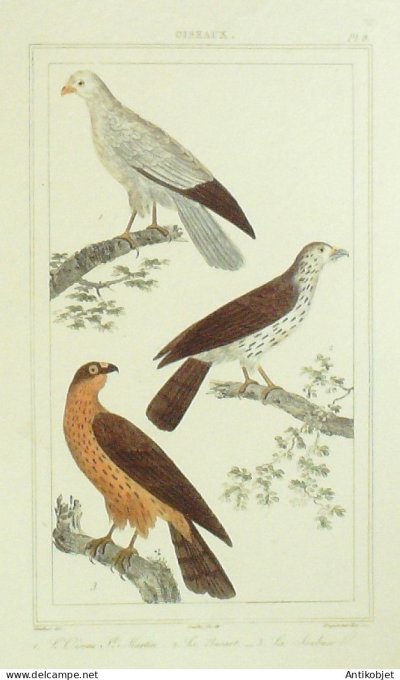 Saint-Martin Soubuse Busart 1833 Vauthier-Buffon