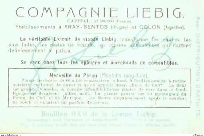 Chromo Liebig Sang  929 Fleurs nocturnes II (1908)