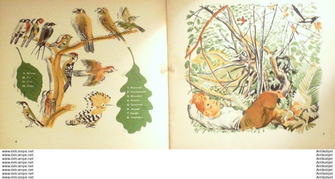 Pere Castor Coucou (Rojankovsky texte Lida) Eo 1939