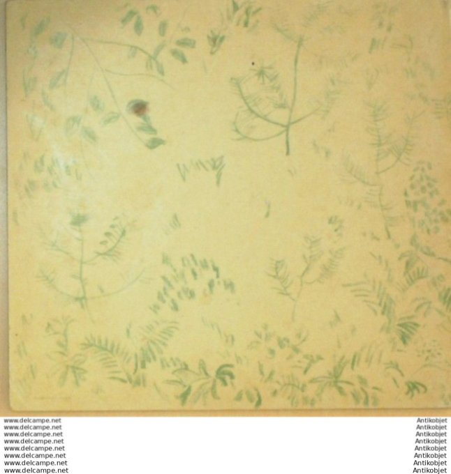 Pere Castor Coucou (Rojankovsky texte Lida) Eo 1939