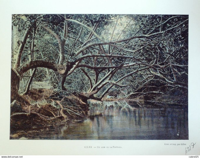 Polynésie PAUTANA nature