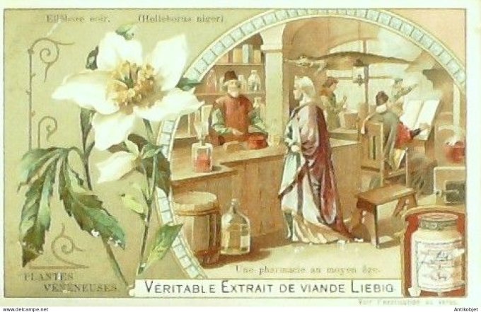 Chromo Liebig Sang  792 Plantes veneneuses II (1904)