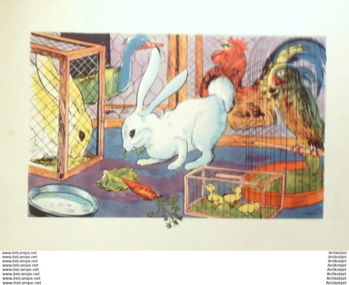 Miaou la chatte Quatre poils visite Paris (Oncle Pipe) Eo 1943