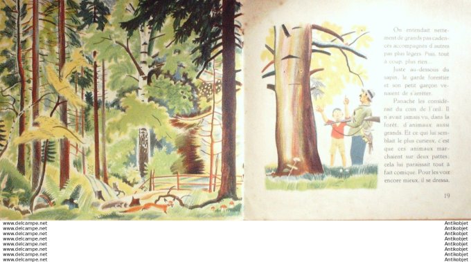 Pere Castor Panache l'ecureilL (Rojankovsky texte Lida) Eo 1934