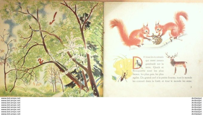 Pere Castor Panache l'ecureilL (Rojankovsky texte Lida) Eo 1934