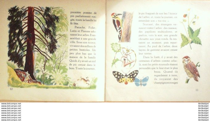 Pere Castor Panache l'ecureilL (Rojankovsky texte Lida) Eo 1934