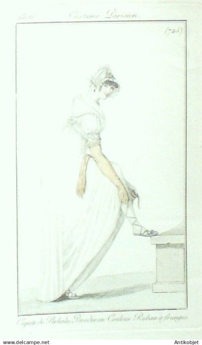 Costume Parisien 1806 # 725 (eau forte) Capote de Perkale brodée