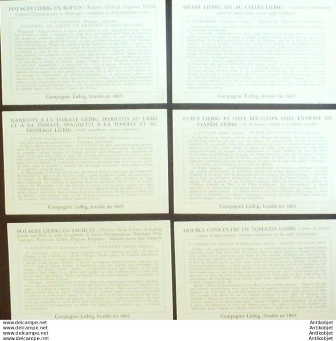 Chromo Liebig Sang 1600 Rongeurs exotiques (1954)