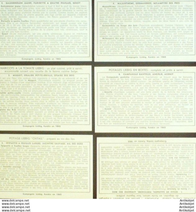 Chromo Liebig Sang 1568 Fleurs des Bois (1953)