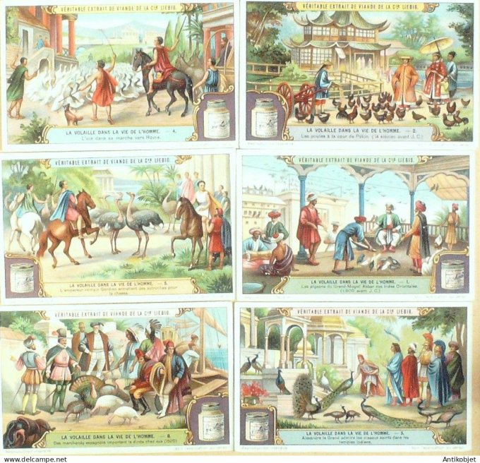 Chromo Liebig Sang 1149 La vollaille dans la vie de l'homme (1922)