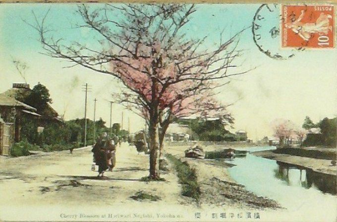 Carte Postale Japon YOKOHOMA HORIWARI NEGISHI 1907