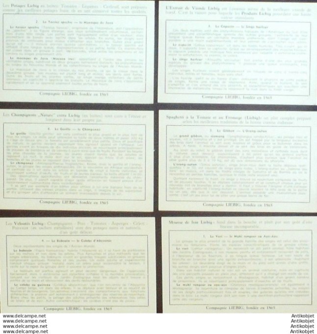 Chromo Liebig Sang 1604 Les singes (1954)