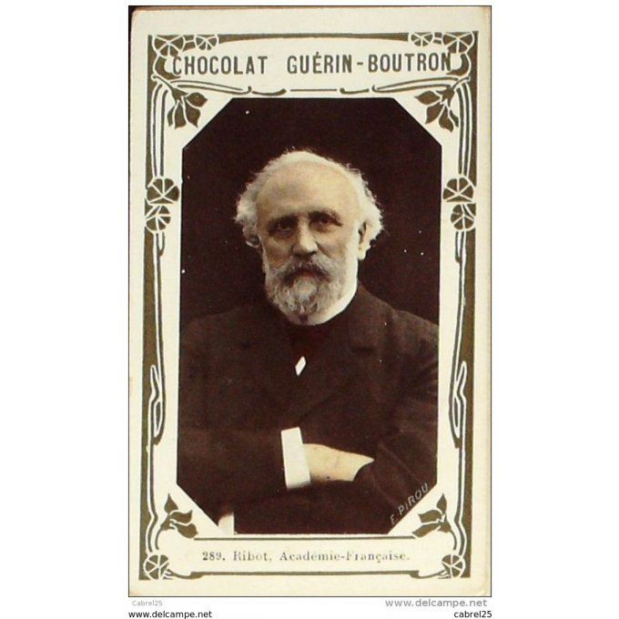 Ribot Académie 289