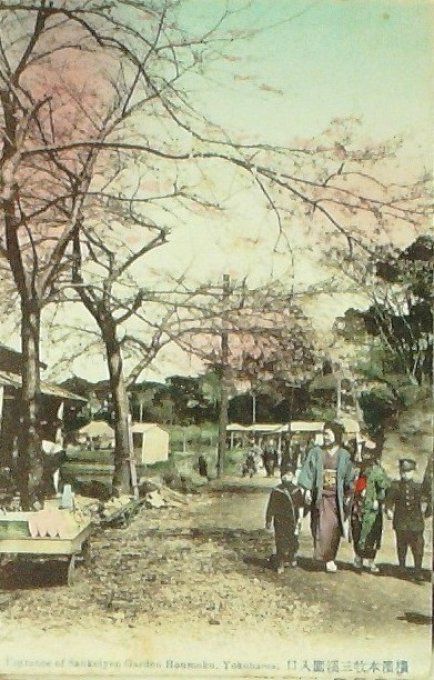 Carte Postale Japon YOKOHOMA jardin HONMOKU 1907