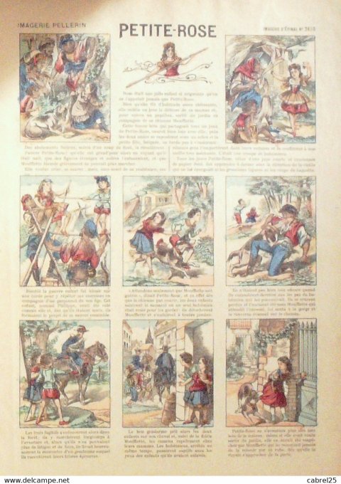 Petite Rose (Pellerin d'epinal)