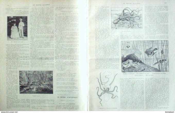 Le Monde illustré 1893 n°1898 Siam Luang Prabang Chicago Algérie Oued-Biskra Versailles (78)