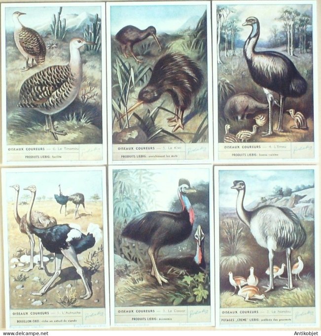 Chromo Liebig Sang 1580 Oiseaux coureurs (1953)