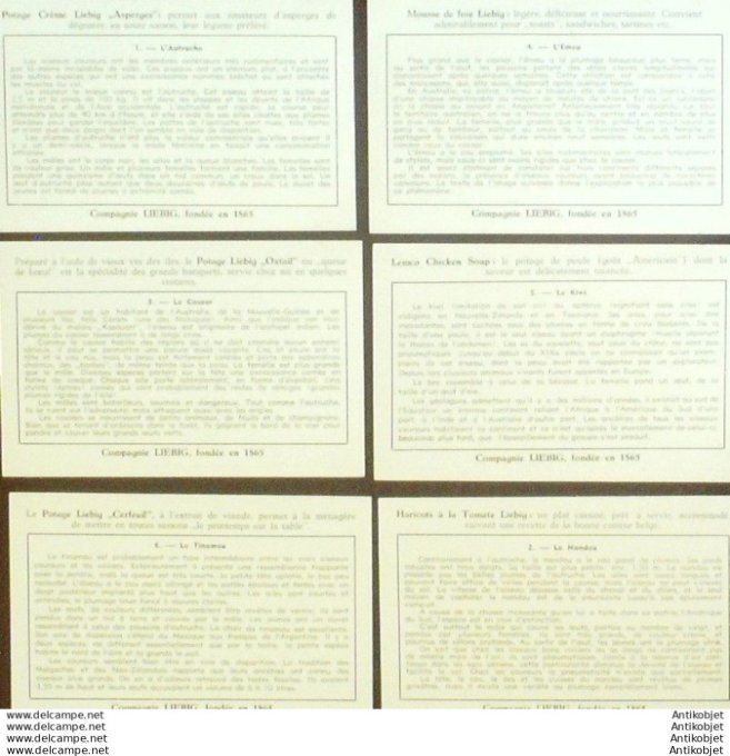 Chromo Liebig Sang 1580 Oiseaux coureurs (1953)