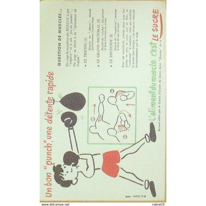 Buvard LE SUCRE BOXE Muscle