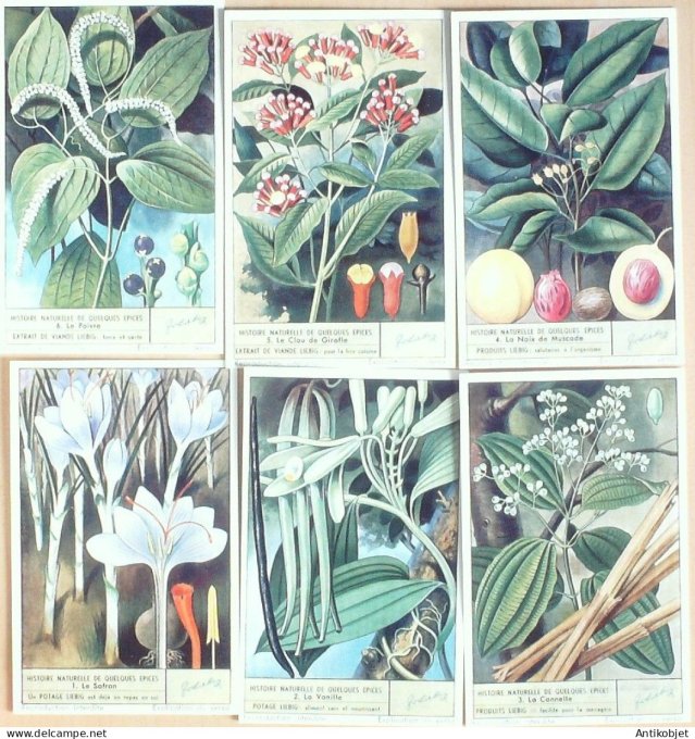 Chromo Liebig Sang 1577 Histoire naturelle des epices (1953)