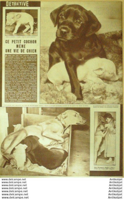 Détective 1955 # 449 Orléans Abbeville  Bagnoles-de-l'Orne Dieppe
