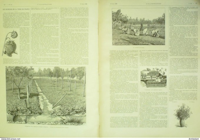 L'illustration 1901 n°3044 Meudon Issy (92) Hyères (83) Pays-Bas Volendam Chine Shangaï