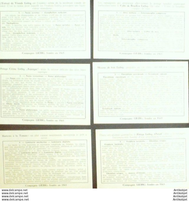 Chromo Liebig Sang 1557 Algues marines sur nos cotes (1953)