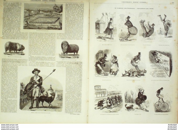 L'Illustration 1849 n°354 Algérie ALGER STAOUELI ZAATCHA RAMBOUILLET (78) LUNEVILLE (54)
