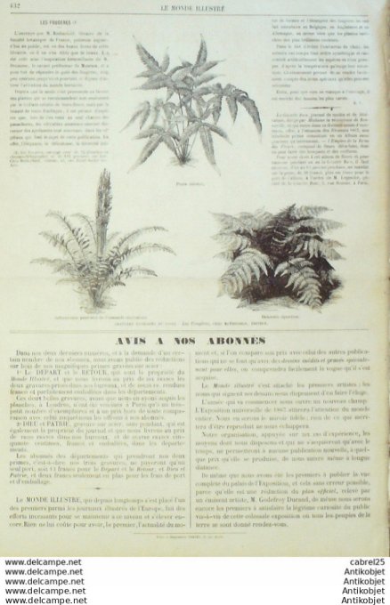 Le Monde illustré 1866 n°507 Espagne Cabeza del Buey Angleterre Hoyle Barnsley