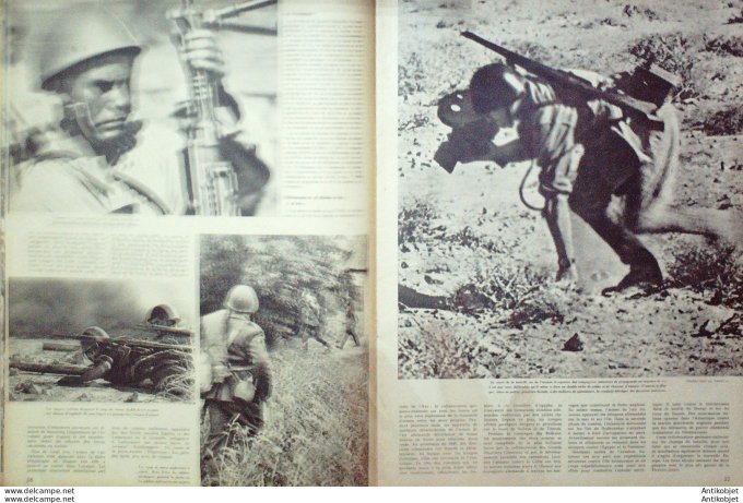 Revue Signal Ww2 1942 #  2